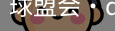 球盟会